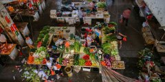 農貿市場改造實施-市場選址考察要點